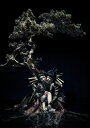 the GazettE LIVE TOUR 12-13【DIVISION】FINAL MELT LIVE AT 03.10 SAITAMA SUPER AREN...
