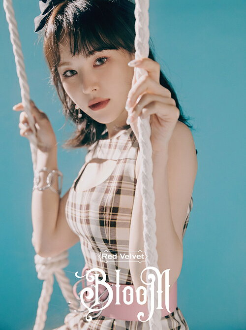 Red Velvet kms 3.0 ウェンディ 中華 4枚セット Red Velvet kms 3.0 ウェンディ 中華 4枚セット Red Velvet kms