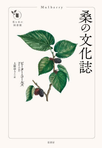 桑の文化誌 / 原タイトル:Mulberry[本/雑誌] (花と木の図書館) / ピーター・コールズ/著 上原ゆうこ/訳