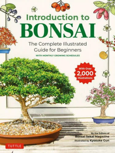 Introduction to BONSAI The Complete Illustrated Guide for Beginners WI...