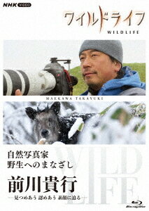 ワイルドライフ 自然写真家 野生へのまなざし 前川貴行[Blu-ray] / ドキュメンタリー