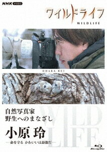 ご注文前に必ずご確認ください＜商品説明＞日本を代表する4名の写真家に密着。それぞれ独自の視点で撮った映像や言葉を記録した自然写真家シリーズ! ——「小原玲 命を守る かわいいは最強だ」 小原玲は報道写真の世界で活躍した後、アザラシの赤ちゃんとの出会いをきっかけに動物写真家になった。若者や女性に人気のシマエナガもブームに火をつけたのは小原さんの写真だ。その小原玲が亡くなる直前まで撮ったのが愛くるしい表情のエゾモモンガ。なぜ、かわいいを追い続けたのか。そのまなざしの奥には命を守りたいという思いがあった。報道の魂を纏った動物写真家にとって「かわいい」は「守りたい」だったのだ。 写真家・小原玲 特製ブックレット(12P)封入。＜商品詳細＞商品番号：NSBS-25613Documentary / Wild Life Shizen Shashinka Yasei e no Manazashi Ohara Reiメディア：Blu-ray収録時間：59分リージョン：freeカラー：カラー重量：230g発売日：2022/07/22JAN：4988066240591ワイルドライフ 自然写真家 野生へのまなざし 小原玲[Blu-ray] / ドキュメンタリー2022/07/22発売