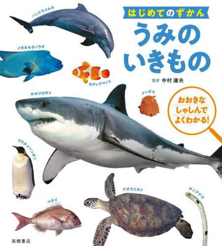うみのいきもの おおきなしゃしんでよくわかる![本/雑誌] (はじめてのずかん) / 中村庸夫/監修のサムネイル