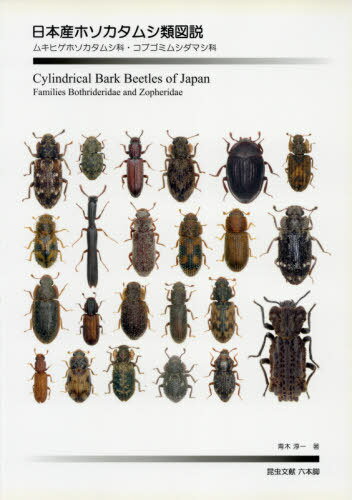 日本産オサムシ図説 = The Carabus of Japan(井村有希, 水沢清行