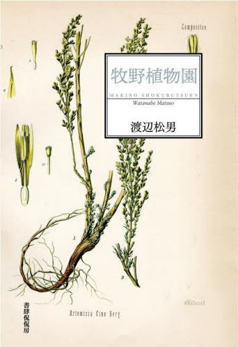 歌集 牧野植物園[本/雑誌] / 渡辺松男/著のサムネイル
