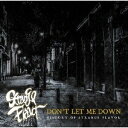 DONfT LET ME DOWN ` HISTORY OF STRANGE FLAVOR[CD] / STRANGE FLAVOR