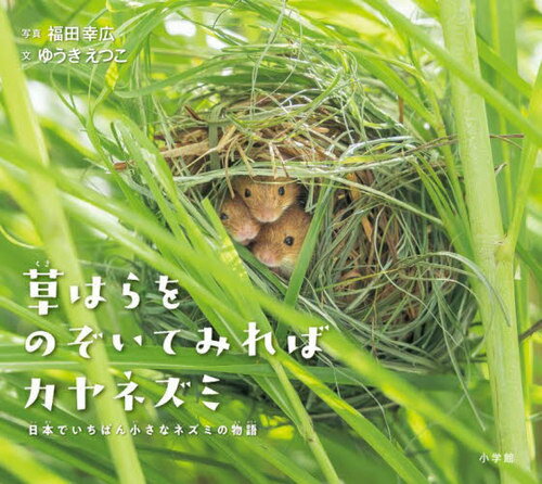 [書籍のメール便同梱は2冊まで]/草はらをのぞいてみればカヤネズミ 日本でいちばん小さなネズミの物語[本/雑誌] (小学館の図鑑NEOの科学絵本) / ゆうきえつこ/文 福田幸広/写真