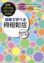 図表で学べる骨粗鬆症[本/雑誌] (医師・メディカルスタッフのための) / 太田博明/監修 中藤真一/編集 鈴木敦詞/編集