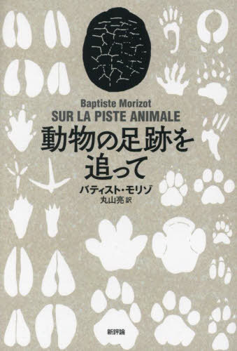 動物の足跡を追って / 原タイトル:SUR LA PISTE ANIMALE[本/雑誌] / バティスト・モリゾ/〔著〕 丸山亮/訳