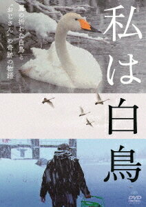 私は白鳥[DVD] / 邦画 (ドキュメンタリー)