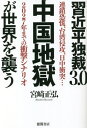 習近平独裁3.0中国地獄が世界を襲う 連鎖恐慌、台湾侵攻、日中衝突...2027年までの衝撃シナリオ[本/雑誌] / 宮崎正弘/著