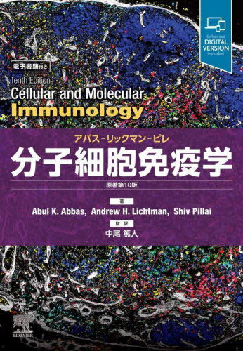 分子細胞免疫学 アバスーリックマンーピレ / 原タイトル:CELLULAR AND MOLECULAR IMMUNOLOGY 原著第10版の翻訳 / AbulK.Abbas/著 AndrewH.Lichtman/著 ShivPillai/著 中尾篤人/監訳