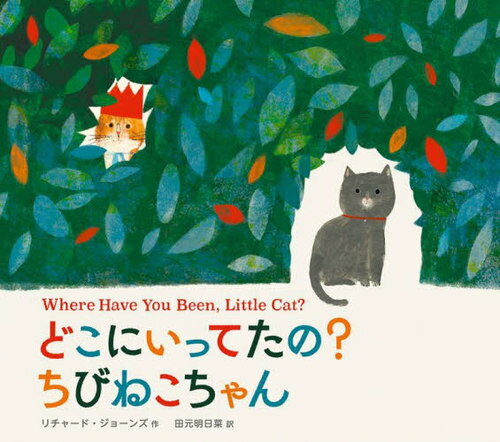 どこにいってたの ちびねこちゃん / 原タイトル:Where Have You Been Little Cat 本/雑誌 / リチャード ジョーンズ/作 田元明日菜/訳