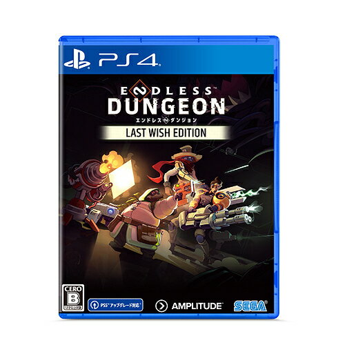 ENDLESS Dungeon Last Wish Edition[PS4] / Q[