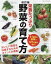 栄養たっぷり野菜の育て方 改訂版[本/雑誌] (ブティック・ムック) / ブティック社