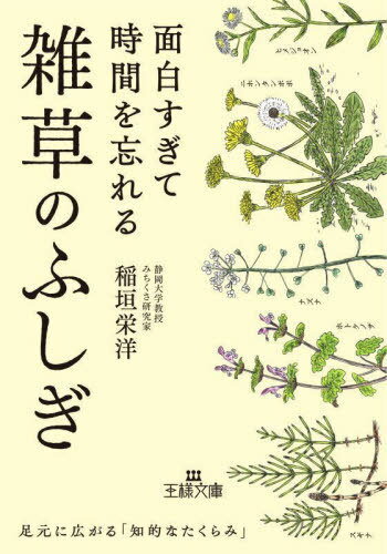 面白すぎて時間を忘れる雑草のふしぎ[本/雑誌] (王様文庫) / 稲垣栄洋/著のサムネイル
