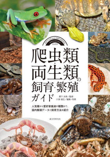 ࡦξλ顦˿ ͵狼鰦ȿ޷μޤǡ˿ǡȻˡҲ[/] / /ƽ ź빭/Խ̿
