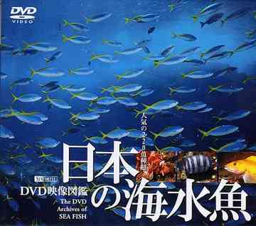 日本の海水魚 DVD映像図鑑[DVD] / 趣味教養