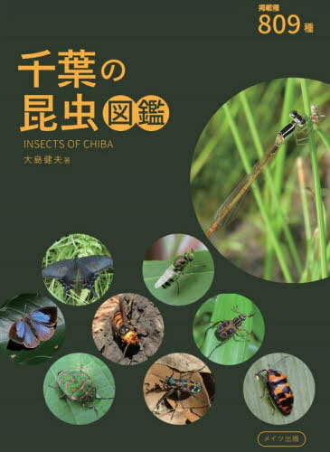 昆虫図鑑 千葉の昆虫図鑑 809種[本/雑誌] / 大島健夫/著