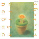 Sherbet[CD] [Blu-spec CD2] / L[Y