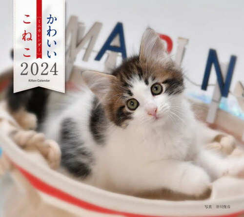 ミニカレンダー こねこ[本/雑誌] 2024 / 井川俊彦