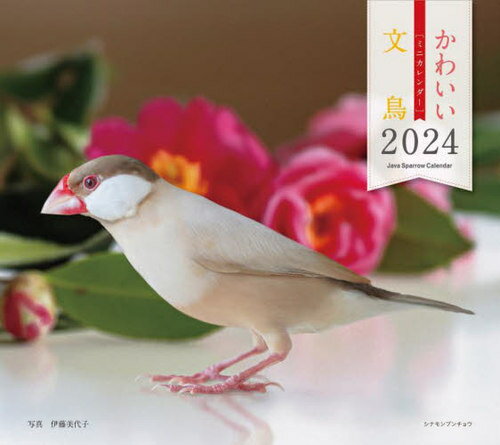 ミニカレンダー 文鳥[本/雑誌] 2024 / 伊藤美代子