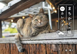 まちかどの猫 カレンダー[本/雑誌] 2024 / 阪靖之