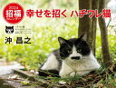 幸せを招くハチワレ猫 カレンダー[本/雑誌] 2024 / 沖昌之