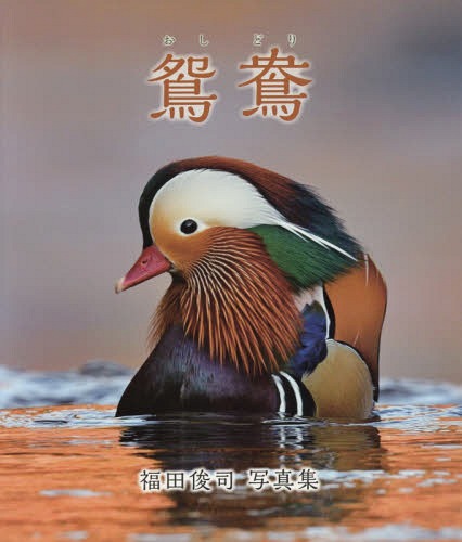 鴛鴦 福田俊司写真集[本/雑誌] / 福田俊司/著