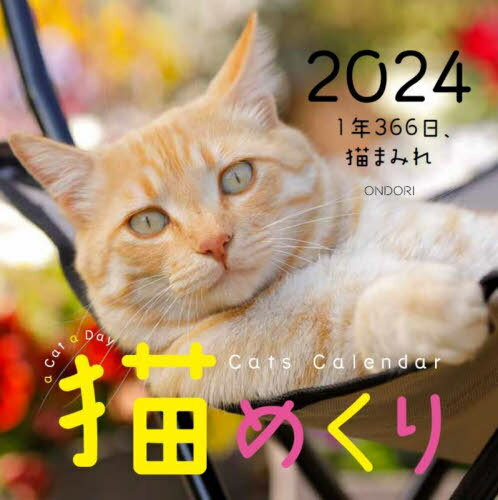 Cats Calendar J_[ L߂ 1N366AL܂݂[{/G] 2024 / oσO[v