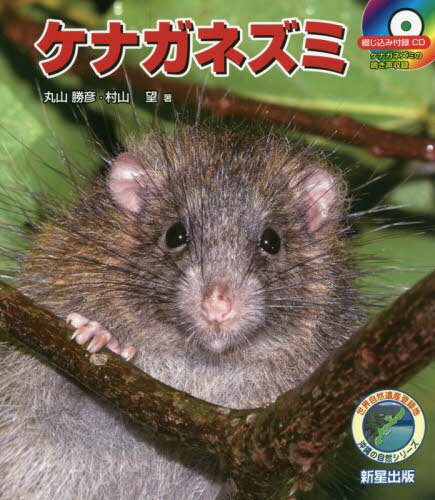 ケナガネズミ[本/雑誌] / 丸山勝彦/著 村山望/著