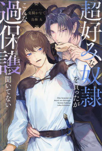 超好みな奴隷を買ったがこんな過保護とは聞いてない[本/雑誌] (&arche) / 兎騎かなで/〔著〕