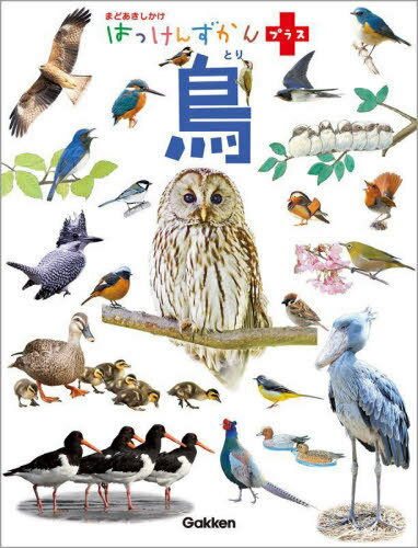 学研 はっけんずかん 鳥[本/雑誌] (はっけんずかんプラス) / Gakken