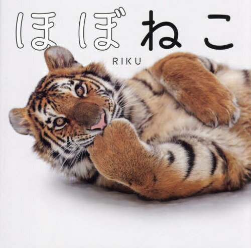 ほぼねこ ネコ科の猛獣たちのネコみたいな写真集[本/雑誌] / RIKU/著