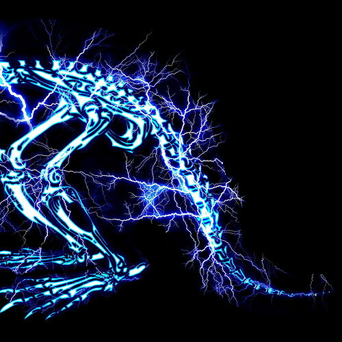 儚くない[CD] [Blu-ray付初回限定盤] / SUPER BEAVER