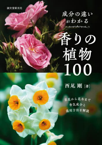 ʬΰ㤤狼οʪ100 ֤ڤޤǹᵤʬȺˡ[/] / /