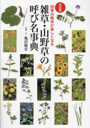 雑草・山野草の呼び名事典 決定版 四季の散歩が楽しくなる[本/雑誌] / 亀田龍吉/写真・文