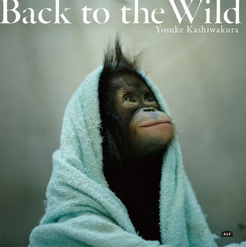 Back to the Wild 򼺤ä󥦡[/] / YosukeKashiwakura/ơ