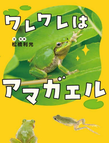 [課題図書2025/小学校低学年] ワレワレはアマガエル[本/雑誌] / 松橋利光/文・写真のサムネイル