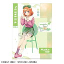 【カミオジャパン】五等分の花嫁 A4 シングルクリアファイル 中野四葉 メイクアップ【2024年7月発売】[グッズ]