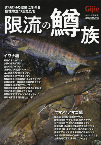 限流の鱒族[本/雑誌] (GEIBUN) / 芸文社