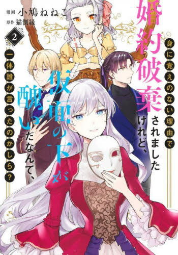 身に覚えのない理由で婚約破棄されましたけれど、仮面の下が醜いだなんて、一体誰が言ったのかしら?[本..
