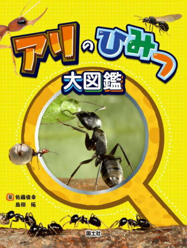 日本産アリ類全種図鑑(アリ類データベースグループ(JADG)【著