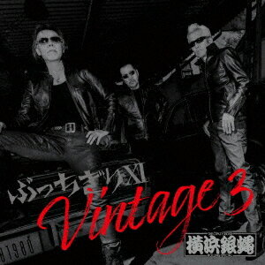 ぶっちぎりXI Vintage 3[CD] [通常盤] / T.C.R.横浜銀蝿R.S.