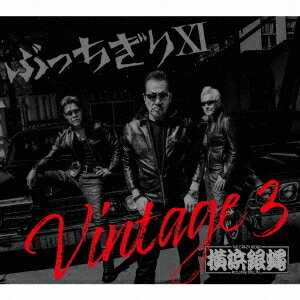 ぶっちぎりXI Vintage 3[CD] [DVD付初回限定盤] / T.C.R.横浜銀蝿R.S.