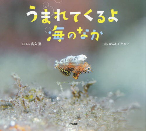 [課題図書2023/小学校低学年] うまれてくるよ海のなか[本/雑誌] / 高久至/しゃしん かんちくたかこ/ぶん