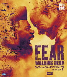 �ե��������������������󥰡��ǥå�[DVD] ����ѥ��� DVD-BOX ��������7 / TV�ɥ��