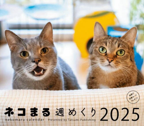 ͥޤ뽵᤯ [/] 2025 / ä̦