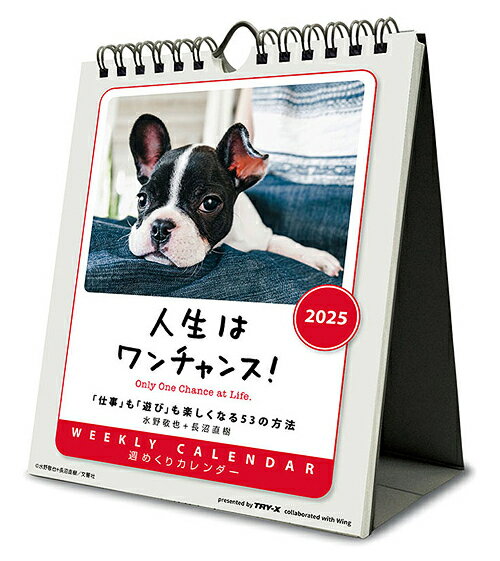 人生はワンチャンス! 卓上/壁掛【2024年9月発売】[グッズ] [2025年カレンダー] / カレンダー