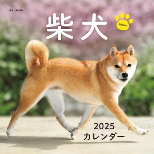  Ƹ[/] 2025 / ɧ